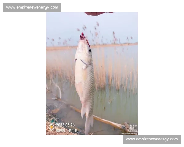 重庆巴南 6 岁萌娃力擒 6 斤大鲤鱼!小小身躯爆发惊人钓鱼天赋 重庆巴南 6 岁萌娃力擒 6 斤大鲤鱼!小小身躯爆发惊人钓鱼天赋